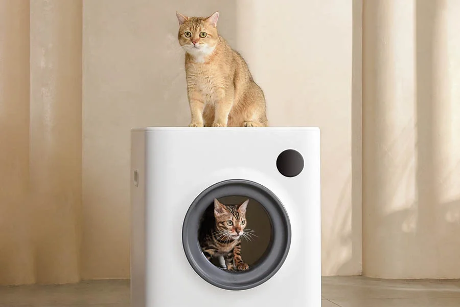 best automatic litterboxes