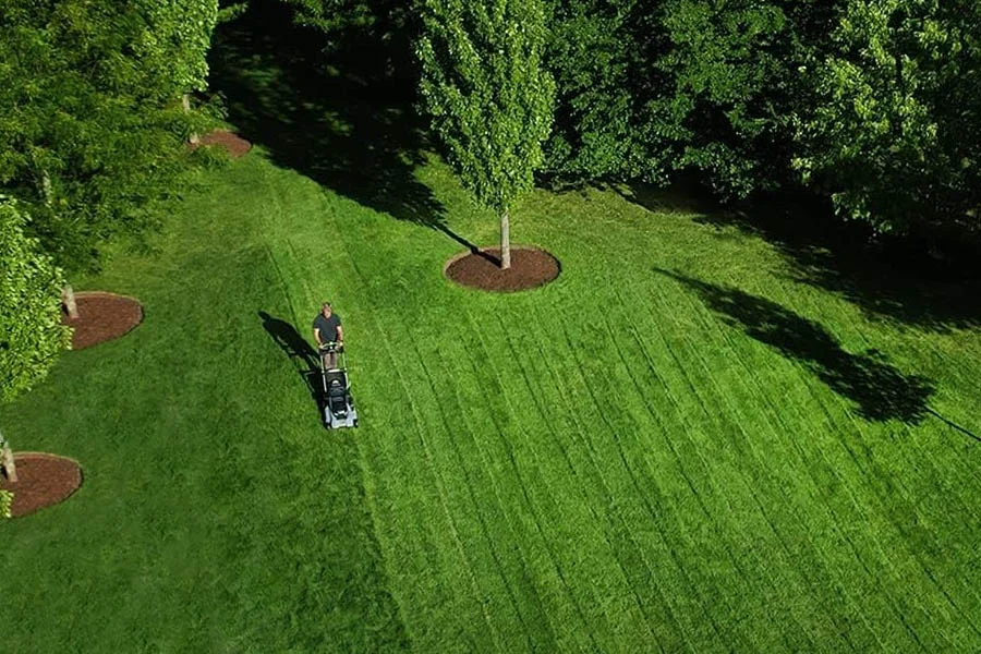 cordless self propelled lawn mower